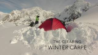 Winter Carpe: The Clearing