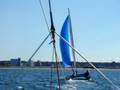 F20 Predator at Fehmarn Rund 2008 II.