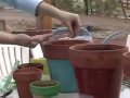 How To Make A Container Garden