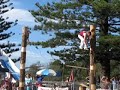 woodchopping at brunswick heads festival n.s.w.
australia elgar