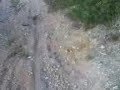 Offroad i reddal med Audi 80