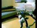 videos de xevoz