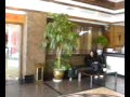 RCHelicopterShop.com - ESky Lama V4 Fly in Lobby RCHelicopterShop.com - ESky Lama V4 Fly in Lobby