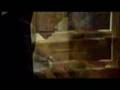 Ver Video