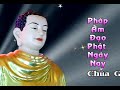 Kinh Kim Cang 7: Cấp Độ Thánh Nhân