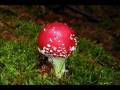 videos de Chaotic HeADs by Dj Radioaktivní ZmrD_HArDElectro,HAArdTEchTEkk.wmv