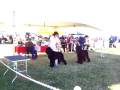 08 Natioanals Open 3
