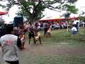 KERMESSE ASELAB - LAS PALMAS 2007 Video No.2
