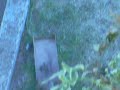YouTubeサムネイル[D_FAaMWHqS0] - 2枚目