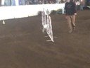 Nub Grand Prix NW Cup Nub Grand Prix NW Cup
