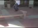 Aug 17 2008 - VID00015