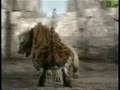 Animal Face-Off: Lion vs. Tiger