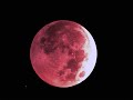 Luna Luna - Widerlich