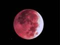 Luna Luna - Widerlich