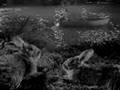 THE NIGHT OF THE HUNTER _ LA NUIT DU CHASSEUR  (extrait)