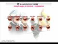 Central de tonos de despacho para bomberos