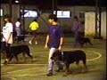 RCERJ 1995