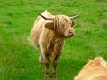 Paul's Outer Hebrides Cycling Tour