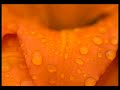 delerium & leigh nash - innocente