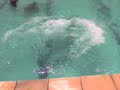 Loucuras Parte 1/10 Loucuras Parte 1/10