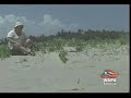 Loiza Beach by Geoambiente Loiza Beach by Geoambiente