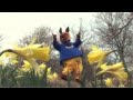 'MC Nuts' Cumbria Tourism online ad