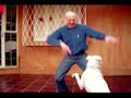 Pai macaco e cachorro veado