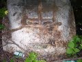 Ravine finds!! Ravine finds!!