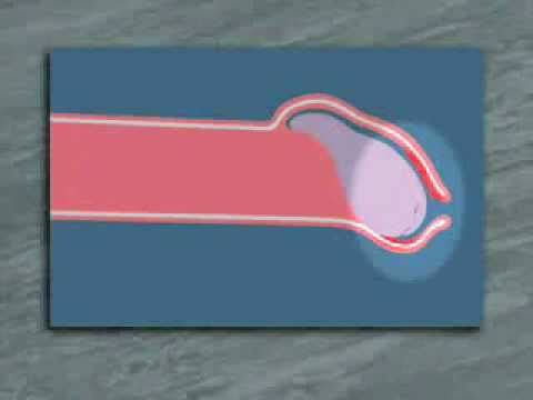 Functions of Foreskin