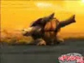 Tortuga Borracha Tortuga Borracha