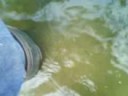 wellies in deep water