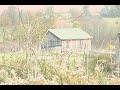 early-spring-at-next-day-organics-rabbitry.html