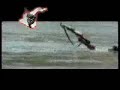 Terroist training video Terroist training video