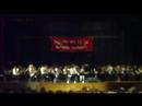 Boro-Wide Concert 2008 (Levay)