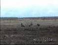 Missile explosion test.