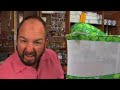 DadLabs Ep 221 The Lab - Starter Pets