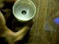 videos de Resina - Vaciado de resina poliester - parte 2 de 2