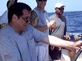 Shane Boals pulls in 45 lbs dolphin in The Bahamas Shane Boals pulls in 45 lbs dolphin in The Bahamas