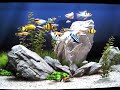 Here is a one minute clip of Dream aquarium. Its a beautiful CGI fish tank with realistic background a choice of many different tropical fish. You can add and take off as many as you like. For the clip I have added one or two of every type and a crab that attacks if a fish gets too close! Enjoy.
