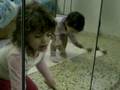 videos de Sopa do Nenem II