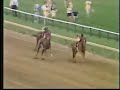 Affirmed v Alydar (All four 3-y-o meetings)