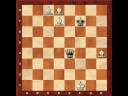 The longuest mate 4 Bishops vs Queen The longuest mate 4 Bishops vs Queen