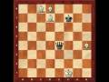 videos de The longuest mate 4 Bishops vs Queen