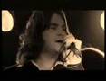 the haze (cathouse)