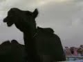 عطايا الله