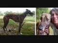 SKINNY ANIMALS