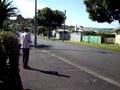 videos de Zippy do da