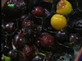 fruta podre