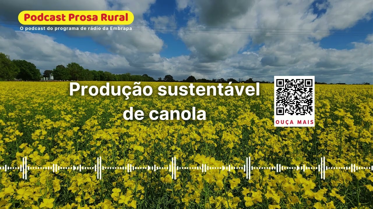 Produção Sustentável de Canola