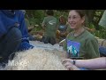Journey upstream with environmentalist Dan McCormick, a maker who crafts intricate watershed sculptures out of woven willow branches. Dan places his eco-art in gullies and riverbanks to help reduce erosion and filter out sediment and farm fertilizers that can clog streams and suffocate spawning salmon. And see other manmade structures built to help fish return to their origins. Learn more about Dan McCormick at www.landviews.org